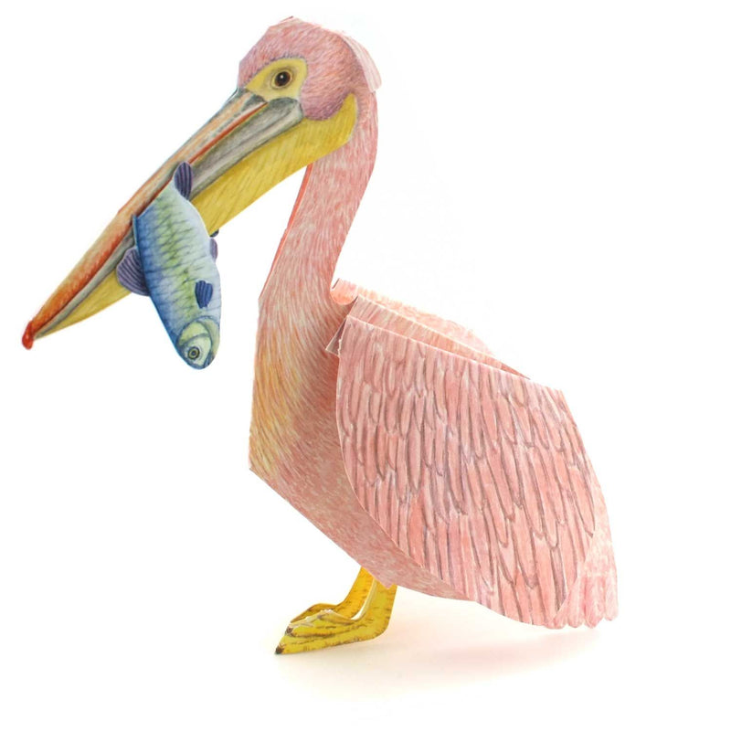 3D Tierfaltkarte "Pelikan"