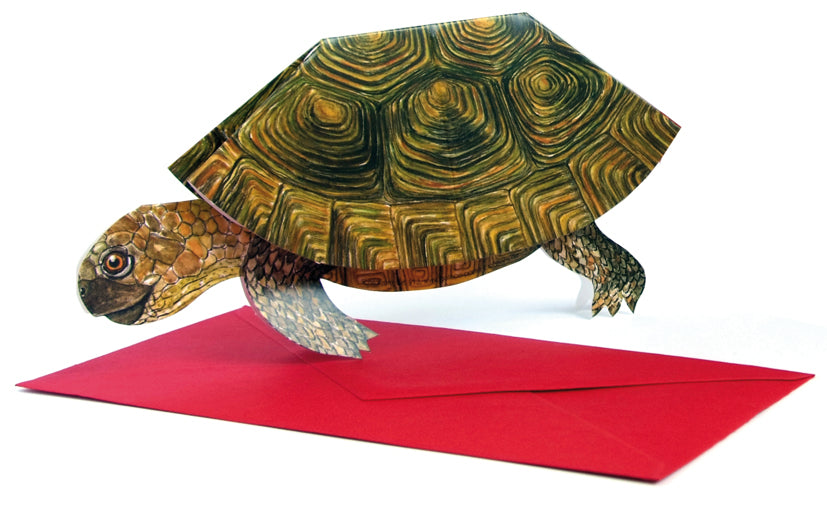 Carte pliante animal 3D "Suricate"