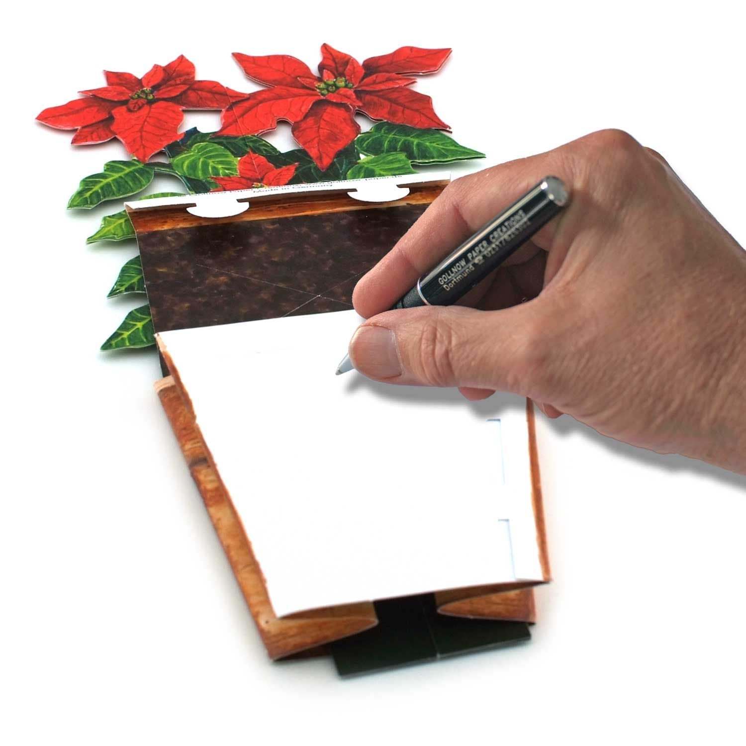 Carte pot de fleurs 3D "Etoile de Noël"