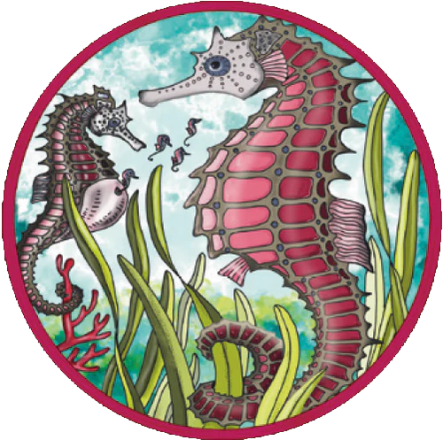 Puzzle Picoli "Seepferdchen"