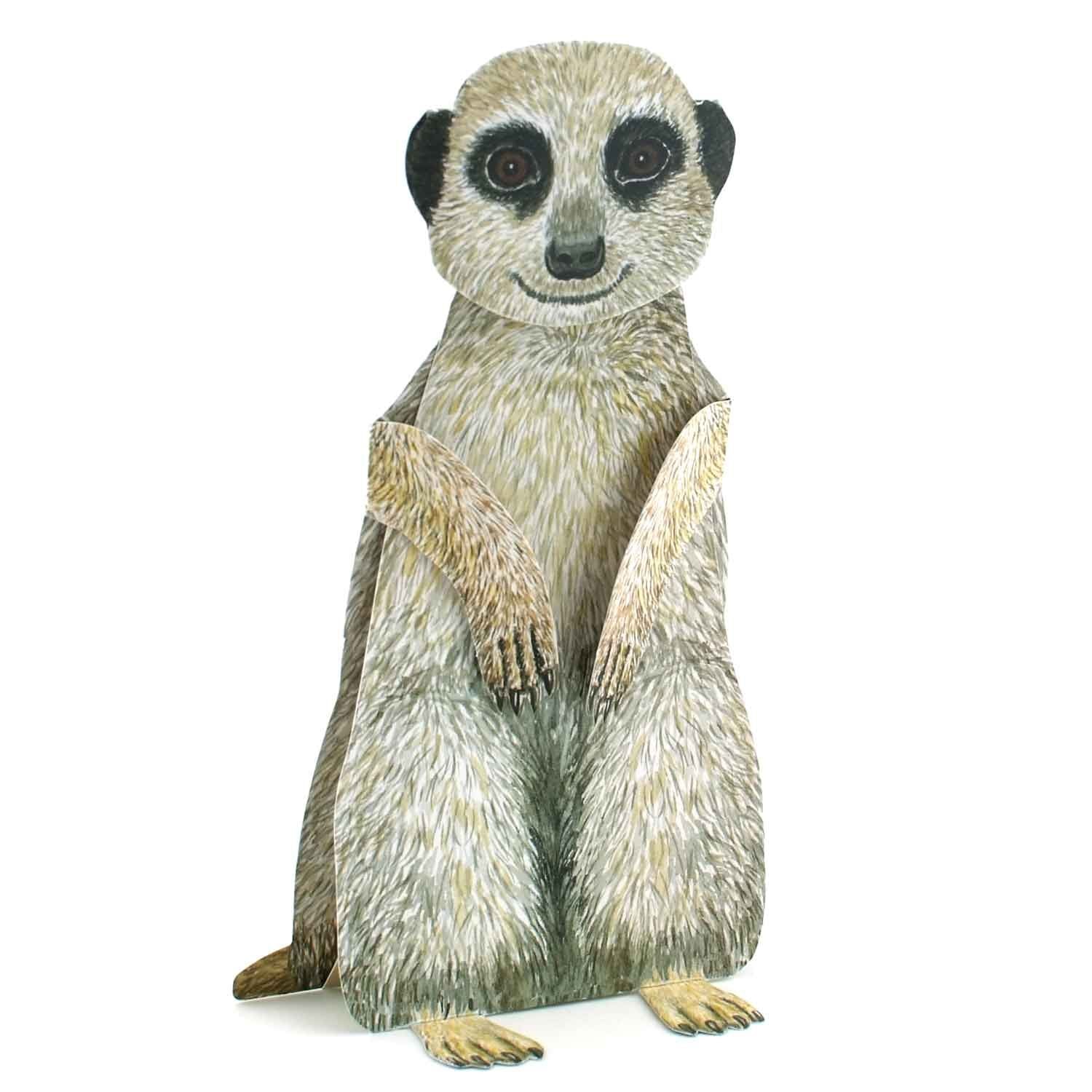 3D-Tierfaltkarte "Erdmännchen"