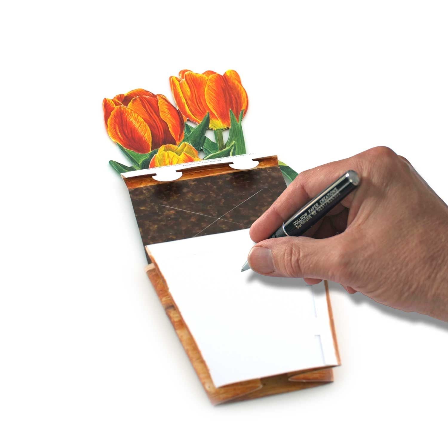 Carte pot de fleurs 3D "Tulipes"