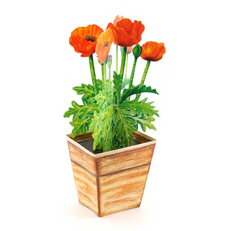 3D Flower Pot Card "Poppy"