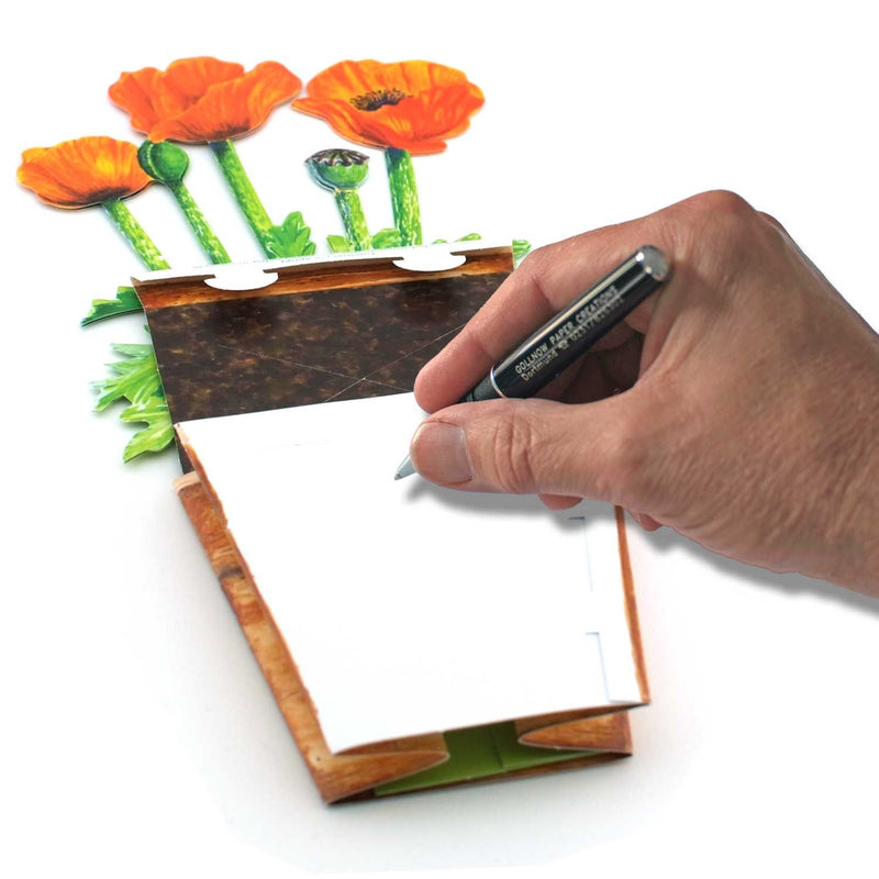 Carte Pot de Fleurs 3D "Coquelicot"