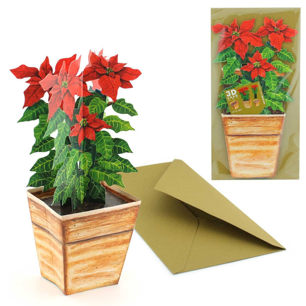 Carte pot de fleurs 3D "Etoile de Noël"