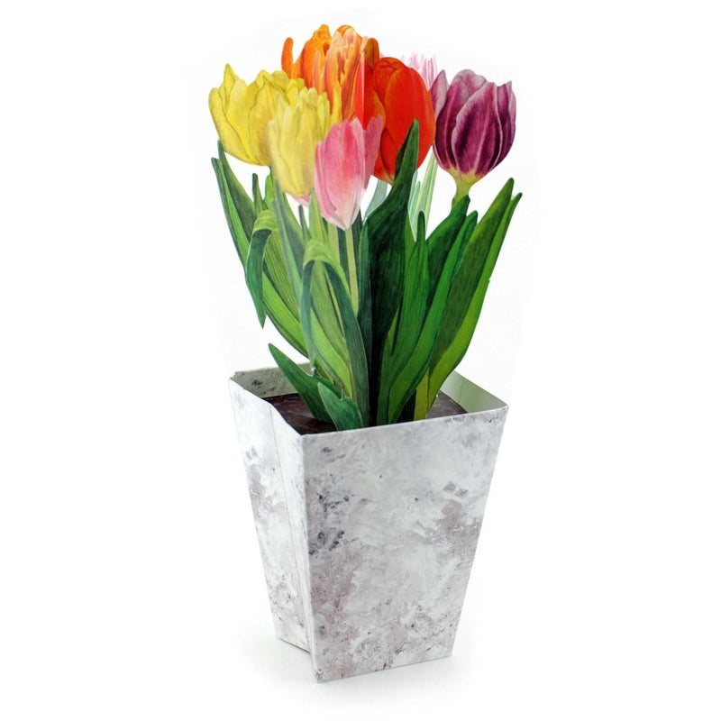 Carte pot de fleurs 3D "Tulipes colorées"