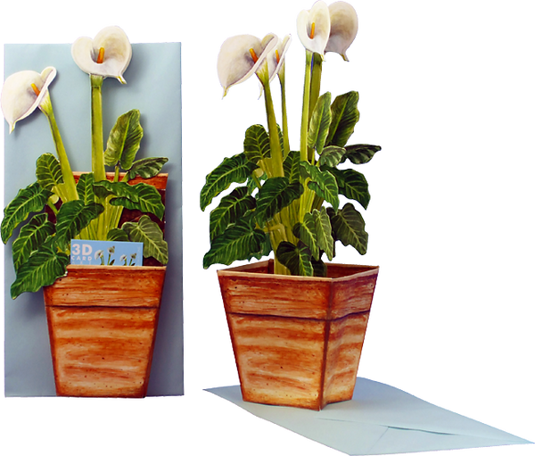 Carte pot de fleurs 3D "Kalla"