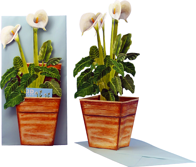 Carte pot de fleurs 3D "Kalla"