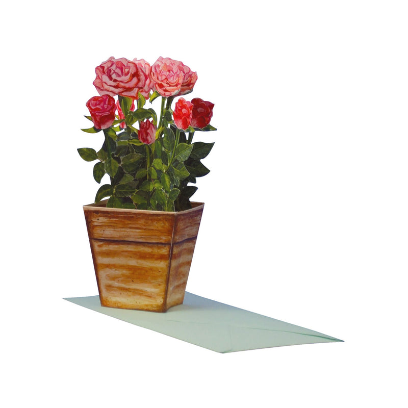 3D-Blumenkarte "Rosen"