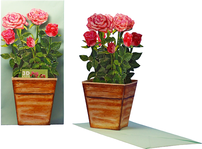 3D flower pot card "Roses"
