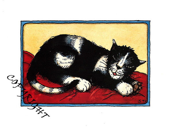 chat de carte postale 