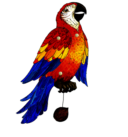 Craft sheet parrot
